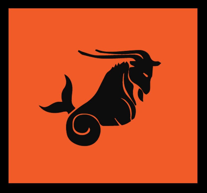 Capricorn - sayercnc 3d printer parts Australia
